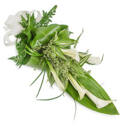 This elongated floral tribute presents a calm, sophisticated composition built around creamy white Calla Lilies and an abundant mix of green textures, set against a pristine white backdrop so every shape and surface is visible. The lilies, with their classical trumpet forms and pearly sheen, are arranged to lead the eye from the top-left corner down to the lower right, some opening wide, others remaining elegantly cupped. The structural backbone is provided by large, glossy tropical leaves-deep, reflective green pieces folded and wrapped to cradle the blooms-while feathery fern fronds and slender grass-like stems weave through the design, softening edges and introducing light, rhythmic movement. Variegated leaves with white striping scatter light across the mid-plane, and tiny, pale-green leafy sprays sit like gentle islands of texture between the larger forms. A soft, natural-coloured linen or burlap ribbon is tied at the upper left, its tactile weave lending informal refinement and a handmade quality. The palette of cool whites and rich greens, together with the arrangement's clean diagonal flow, evokes a sense of peace and restraint-perfect for memorial services, quiet anniversaries, or minimalist wedding bouquets. Locals might recognise the calm, considered style often seen in Grove Park florists along Baring Road, where soft morning light and fresh shop greenery shape arrangements for neighbours seeking understated beauty and solace.