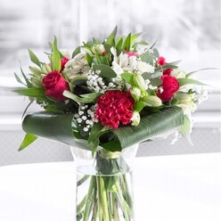 In the centre of the photograph, a tall, clear glass cylinder vase cradles a romantically styled bouquet that looks freshly arranged, as if ready for delivery to a home just off Grove Park's quiet residential lanes. The vase is filled with clean water, showing the tidy cut of each green stem and the careful spiral that gives the composition its structure. Above, a generous mixture of rich red and soft white blossoms rises in a dome of colour. Deep red roses, with velvety petals curling open in concentric layers, share the spotlight with a large crimson carnation at the front whose frilled, ruffled petals lend a sense of movement and texture. Nestled among the reds are elegant white alstroemeria, their slender petals decorated with fine, speckled markings, and several plump white lily buds standing tall, still closed, promising a slow unfurling of fragrance and beauty. Wisps of white gypsophila weave through the arrangement, their tiny blooms resembling gently drifting snowflakes, giving the bouquet a cloud-like softness. Encircling the base, broad, glossy dark green tropical leaves have been artfully curled and wrapped, forming a polished collar that reflects the light and contains the flowers like a frame. Mixed tones of eucalyptus-style foliage and slim, pointed green leaves radiate outward, adding height, depth, and a subtle woodland feel. The bouquet is set on a spotless white surface against a bright, softly blurred background, suggesting daylight pouring through a nearby window. The overall impression is one of refined joy and heartfelt warmth, a versatile design ideal for birthdays, anniversaries, or sending congratulations to someone in Grove Park who deserves a beautiful, thoughtfully crafted surprise.