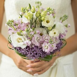 The bouquet, so artfully gathered, brings together the serene beauty of Grove Park's green spaces and the refined touch of a seasoned florist. Glistening under soft daylight, white Lisianthus flowers-full and plush-center the arrangement, their yellow-green hearts radiating gentle joy. Clusters of pastel pink and tranquil lavender stock flowers drift between the Lisianthus, their texture whispering romance, as if gathered amid nearby parks or from well-loved neighbourhood gardens. Pale green Lisianthus buds peek out, promising the bloom of new love. A distinctive ring of starburst purple Allium encircles the bouquet's base, lending depth and a hint of modern whimsy, reminiscent of the creative local spirit found at Grove Park's community events. Loops of bear grass encase the blooms, arching elegantly, evoking the tall, swaying grasses of early summer along Grove Park's riverbanks. The bride's gently blushing nails and steady hands cradle the bouquet, while a blurred backdrop of white or ivory hints at classic wedding lace. Radiating calm and celebration, this arrangement would grace any Grove Park ceremony, offering a heartfelt link between floral artistry and local joy.