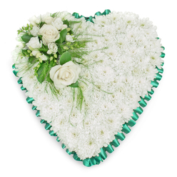 This image shows a classic heart-shaped sympathy arrangement, meticulously arranged and presented against a clean, bright white background. The heart is formed entirely from small white chrysanthemums, often used in funeral flowers for their durability and gentle beauty. They are tightly packed together so that their heads touch, creating a soft, continuous surface that looks almost like a cushion of white velvet. The uniformity of the blooms suggests serenity and purity, offering a comforting visual presence for a time of loss. Around the outer edge of the heart runs a richly coloured emerald green satin ribbon, pleated into fine, regular gathers. These pleats form a delicate, ruffled border that follows every curve and point of the heart, adding structure and quiet elegance. The ribbon's smooth, lustrous finish contrasts with the chrysanthemums' matte petals, enhancing the heart's shape without overpowering it. At the upper left of the design, a graceful focal cluster gently breaks the uniformity. Two open white roses rest close together, their spiralling petals soft and luminous, suggesting love, devotion, and honour. They are surrounded by smaller white flowers and buds, reminiscent of freesias or similar dainty blooms, along with sprigs of fresh green foliage. Broad shiny leaves and finer, fern-like fronds extend from this cluster, some tendrils trailing lightly over the chrysanthemum base. The arrangement evokes the work of a skilled local florist in Grove Park, prepared for delivery to a nearby funeral service, crematorium chapel, or family home. The overall impression is of a gentle, dignified tribute that speaks volumes when words are hard to find.