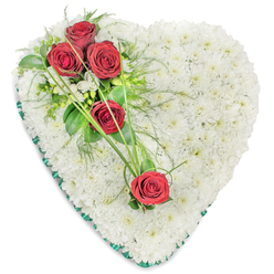 This heart-shaped floral tribute is shown against a pure white backdrop, allowing every detail of the funeral design to be clearly appreciated. The entire heart is meticulously massed with small-headed white chrysanthemums, each blossom placed tightly beside the next, creating a uniform, plush surface that feels like a soft cushion of petals. The white flowers evoke a sense of serenity and purity, making the piece especially fitting for a final farewell. Flowing diagonally from the upper left down towards the centre-right, a cluster of five rich red roses becomes the emotional focal point. Three roses gather at the top curve of the heart, their velvety petals unfurling in classic spirals, while delicate white filler flowers and mixed green foliage nestle around them. The foliage blends broader, darker leaves with lighter, airy fronds, giving depth and subtle texture. As the eye travels downwards, two more red roses appear along the same diagonal line, gently spaced so that they seem to guide your gaze across the white chrysanthemum base. Long, slender strands of bright green ornamental grass sweep gracefully over the surface, tying the composition together and adding a sense of gentle flow. A narrow band of dark green satin ribbon trims the entire outer edge of the heart, crisply framing the flowers and enhancing the contrast between white and red. This thoughtful arrangement, reminiscent of tributes often delivered to services in Grove Park and nearby Chiswick, is designed to convey deep sympathy, heartfelt remembrance, and unbroken love for the person being honoured.