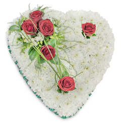 This heart-shaped tribute, lovingly arranged for memorial moments, is built on a lush cushion of immaculate white chrysanthemums that create a thick, textured canvas of softness and calm. Hundreds of the tiny white blooms are placed so closely together that the surface appears almost seamless, a cloud of petals catching a soft overhead light and casting subtle, comforting shadows. On the upper left a poignant cluster of three deep red roses gathers like an intimate handhold, set among rich green foliage - broad glossy leaves, delicate fern-like sprays and fine, curving blades - their crimson faces fully open and resolute. Two further red roses stand alone: one nestled near the upper right curve and another at the heart's lower tip, each given small green accents that let them breathe against the white. A slender emerald green satin ribbon borders the entire heart, its clean line giving structure and a quiet elegance to the arrangement. The fragrance is gentle: the roses' warm, classic scent layered over the lighter, herbal notes of chrysanthemum and foliage. Crafted with the sensitivity of Grove Park Florist, this arrangement is designed to express devotion, respect and consolation - suitable for services at local churches or memorials near Grove Park Station and available for considered local delivery. The overall effect is dignified and intimate, a lasting floral gesture that comforts the eyes and the heart.