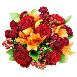 Captured from directly above on a pristine white plane, this lavish hand-tied bouquet presents an intense, harmonious trio of colours - deep reds, fiery orange, and fresh green - arranged with the considered touch of a neighbourhood florist. The composition centres on several full-blown, velvety deep red roses whose petals curl outward in layered spirals, invoking traditional romance; interspersed among them are clusters of smaller burgundy spray roses that provide concentrated notes of colour and a luxurious, velvet-like texture. Brilliant orange Asiatic lilies introduce dynamic trumpet silhouettes, some fully open with stamens visible and subtle dark speckling, others in earlier stages of unfurling, which creates movement and a sense of unfolding life across the round form. Glossy red hypericum berries appear like tiny garnets tucked into the foliage, offering bright, reflective points that enliven the eye, while broad green leaves - likely ruscus or salal - frame the bouquet with a cool, grounding backdrop. The soft, even studio lighting emphasises petal texture and depth without harsh shadows, so the eye can travel across petals, pollen-capped stamens, and the gleam of berries. There is an imagined scentscape too: the velvety, heady perfume of roses warmed by the green, citrus-spicy lift of lilies. As crafted by florists serving Grove Park, Lewisham and surrounding streets near Downham and Hither Green, this arrangement reads as both celebratory and intimate - ideal for an anniversary, a heartfelt 'I love you,' or a richly coloured centrepiece that brings the warmth of the season indoors. Grove Park Florist often prepares similar bouquets for local clients seeking bold colour with classic structure.