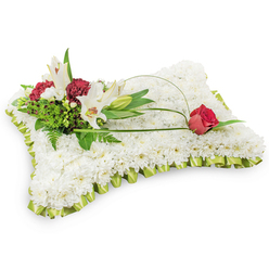 Presented with the care of a neighbourhood florist, this rectangular floral pillow is a study in calm and consolation: a dense carpet of small white chrysanthemums creates a soft, almost textile-like surface that suggests rest and purity. The tight chrysanthemums are arranged to read as a continuous white cushion, and the border is trimmed with a pleated pale lime-green satin ribbon that adds a gentle sheen and a hint of colour without disturbing the arrangement's peaceful tone. The whole composition is photographed against a plain white background so the shapes and textures remain the focus.

A thoughtful cluster on the upper left provides the arrangement's focal story - two white Oriental lilies, fully open to reveal yellow stamens, are paired with an unopened lily bud for a sense of quiet grace. Dark burgundy spray carnations are tucked in among the lilies, their deep tones grounding the design and echoing the single deep red rosebud placed on the right end of a looping green curve. That delicate arch, formed from natural salal leaf or a fine decorative wire, sweeps across the chrysanthemum field and lands gently beneath the rose, creating a visual pathway from left to right. Ferny foliage and glossy greens add depth and a garden-like freshness, and the lilies lend a faint, comforting perfume.

Prepared with the sensitivity familiar to local customers around Grove Park station and Baring Road, this pillow is the sort of unmistakable sympathy tribute Grove Park Florist would deliver to a funeral or memorial service, offering peace and remembrance.