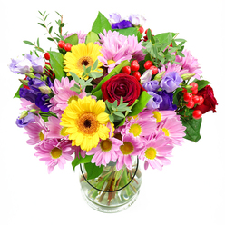This image features a rounded, exuberant bouquet of mixed fresh flowers arranged in a clear, straight-sided glass vase, set against a clean, white background that lets every bloom stand out. The arrangement is lush and full, with flowers placed closely together so the colours blend but each variety still has its moment to shine. At its core, deep red roses open in soft, velvety spirals, giving the bouquet a sense of romance and tradition. Right alongside them, two bright yellow gerbera daisies with dark brown-orange centres add a playful, contemporary contrast, their large daisy faces radiating cheerful warmth. Encircling these central flowers are generous sprays of pale pink and lilac-tinged chrysanthemums or daisies, their many fine petals overlapping like layers of silk and creating a soft halo of pastel tone. Threaded throughout, slender stems of lisianthus in purple and lavender arch gently above and between the daisies, their bell-shaped blooms and slightly curling edges bringing a taller, airy texture and cool colour balance. Small clusters of glossy red hypericum berries peek through the petals at different points, adding rounded shapes and a bright, jewel-like touch that keeps the eye moving. Various types of greenery frame the flowers - broad, dark green leaves adding depth and lighter, more delicate sprigs giving movement and contrast - so the design feels both natural and polished. Through the clear glass of the vase, you can see the neatly cut stems resting in fresh water, showing careful preparation by an experienced florist. The bouquet feels perfect for everyday celebrations in Grove Park, whether adorning a dining table off Burlington Lane, saying thank you to a friend near the park, or sending a colourful hello to someone special just across the river.