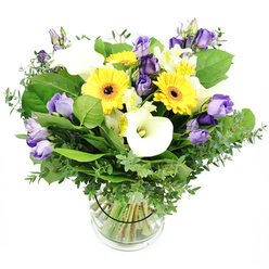 As Grove Park Florist, we designed this lush, vibrant bouquet to echo the sunlit charm of our SE London neighbourhood. It is carefully arranged in a clear glass vase set against a clean white backdrop, so the cheerful palette can shine with maximum clarity. Bright yellow gerbera daisies with their bold, almost sun-like centers anchor the arrangement, while clusters of lisianthus drift in lavender to deeper purple hues, some fully opened and others still in elegant bud, adding a sense of depth and movement. Pristine white calla lilies bring a cool, sculptural note with their smooth trumpet-shapes, and white alstroemeria threads of yellow and green provide delicate texture. The stems are cushioned by a generous bed of greenery: silvery eucalyptus that lends a soft fragrance and airy sparkle, and broad green leaves that give weight and structure. The bouquet is neatly bound with a discreet black tie visible inside the vase, a small detail that helps the stems hold true as water gleams around them. This fresh, sophisticated design speaks of celebration and heartfelt sentiment, perfect for birthdays, anniversaries, or to brighten a cherished space in Grove Park. We offer same-day delivery across Grove Park and nearby SE London areas, ensuring that the moment you think of someone, a bright bouquet can arrive at their door with friendly speed and reliable freshness.