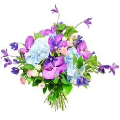 Captured against a clean white background, this hand-tied bouquet looks as though it has just been finished by an experienced florist in Grove Park, its colours and textures consciously layered for impact. Large, voluminous heads of pale sky-blue hydrangeas anchor the arrangement, each head formed from countless delicate petals that overlap to create a lush, cloud-like effect, reminiscent of soft summer skies above nearby Dukes Meadows. Among these gentle blue mounds, vivid fuchsia and deep purple orchids, likely Vanda or Phalaenopsis, add a sense of exotic luxury; their broad petals are patterned with fine, speckled markings and subtle veining that catch the light and draw the eye. From within the bouquet, graceful stems of purple clematis rise and arc outward, introducing vertical lines and a slightly untamed garden quality, as if snipped from a climbing vine along a Grove Park back garden wall. Tucked thoughtfully between the bolder blooms, miniature roses in shades of blush pink and creamy white soften the composition, their small, layered petals suggesting romance, affection, and the comforting familiarity of traditional English flowers. A generous collar of lush green foliage, with broad glossy leaves and varied textures, encircles and supports the flowers, intensifying the vibrancy of the blues, purples, and pinks while grounding the overall form. The stems are neatly gathered and tied at the base, underscoring the professional hand behind the design. Soft, diffuse lighting enhances the bouquet's freshness and three-dimensional depth, giving it a poised yet inviting character-ideal for marking birthdays, anniversaries, or thoughtful "just because" gestures with local flower delivery across Grove Park, Chiswick, and surrounding riverside neighbourhoods.