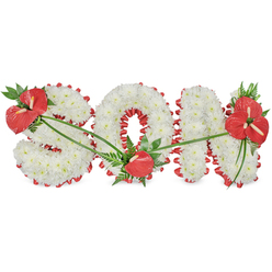 A deeply moving floral arrangement forms the word "SON" in bold, three-dimensional letters, resting against a plain white background so the craftsmanship stands out with clarity. Each letter is created from a dense covering of white chrysanthemums, the small, tightly clustered blooms producing a velvety, cloud-like texture that feels soothing and sincere. Encircling each letter is a rich red satin ribbon, gathered into gentle scallops and curves that underline the contours of the S, trace the hollow ring of the O, and emphasise the sturdy structure of the N. Three placements of red anthuriums, known for their heart-shaped, glossy spathes and prominent spadices, bring a vivid note of love and remembrance to the tribute. One substantial grouping sits on the upper left shoulder of the S, framed by deep green foliage and feathery greens. Another single anthurium, like a quiet whisper of affection, rests at the lower part of the O. The third, fuller cluster blooms from the upper right of the N, its leaves arching outward, visually completing the composition. Delicate, slender green leaves and stems lie lightly across the white petals, linking the red focal points and adding a sense of natural flow. This arrangement, reminiscent of tributes delivered by Grove Park Florist to local chapels and crematoria around Grove Park and the nearby river, offers a respectful and heartfelt way to commemorate a cherished son, giving families a serene and beautiful focus for their goodbyes.