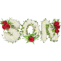 This solemn floral composition spells SON in three clear capital letters, each letter sculpted from dense clusters of pristine white spray chrysanthemums whose compact heads create a soft, pillow-like texture and a scent that is faintly green and reassuring. The chrysanthemums form a calm, luminous field that reads as purity and peace. Woven through and around the white are lengths of glossy green ivy and feathery fern fronds; the ivy's trailing stems follow the letters' shapes and introduce a living line that suggests continuity, while the fern adds a tender, airy contrast beneath the single rose in the O. Deep red roses are placed with deliberate restraint as emotional anchors: a trio tucked into the upper left curve of the S, a solitary, prominent rose at the lower centre of the O, and another group of three roses aligned along the right side of the N. The velvety crimson of the roses stands out dramatically against the white chrysanthemums, conveying passionate remembrance amid solemn stillness. Photographed on a clean white backdrop in soft natural light, the arrangement's textures-tight chrysanthemum petals, glossy ivy, soft fern, and plush rose petals-are clear and tactile even to imagination. Crafted as a bespoke funeral letter tribute, this piece is ideal for families arranging services in Grove Park, at local chapels near Grove Park station or at graveside services in nearby cemeteries; it offers a respectful, personal way to honour a son and to express condolences through carefully chosen botanicals.