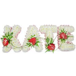 A lovingly crafted funeral tribute reads KATE in bold white letters, each letter composed of tightly packed white spray chrysanthemums that create a uniform, cushion-like texture. A frilled pale pink ribbon edges every letter, its soft tones introducing a gentle contrast that feels both refined and consoling. Scattered across the white fields are vivid clusters of red anthuriums - their glossy, heart-shaped spathes and visible spadices punctuate the design with warmth and a heartfelt focal point. Dark green foliage, including broad glossy leaves and delicate fern fronds, is artfully interwoven to add weight, natural shadow and a lush backdrop for the anthuriums. Fine green vines trail and loop between the letters, subtly connecting the K, A, T and E and bringing an organic rhythm to the composition. The arrangement sits against a bright white background with a faint drop shadow beneath each letter, giving depth and a gentle sculptural quality under soft, even lighting. As a local Grove Park florist I picture this tribute positioned near Grove Park Station or at a service in Chinbrook Meadows community halls, chosen by families who want a personal, handcrafted remembrance that reads clearly from the front of a chapel. There is a muted, verdant scent suggested by the foliage and chrysanthemums - clean, green and quietly floral - and the overall feeling is one of dignified affection and careful, respectful craftsmanship from Grove Park Florist, available for local memorial deliveries.