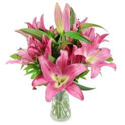 An elegant cluster of vivid pink oriental lilies stands proud in a tapered clear glass vase, photographed on a clean white surface to highlight each botanical feature. The arrangement is generous and sculptural: many fully opened blooms display broad, star-like petals in saturated fuchsia and rosy tones, their surfaces smooth and slightly glossy like polished silk. The petals fall away toward softer, cream-tinged centres where a chartreuse-yellow throat provides a luminous core; from these centres rise striking dark burgundy stamens heavy with pollen, fine dusting visible on a few petals. Interspersed are numerous tapered buds - pale pink through to deep magenta with green tips - that suggest the bouquet will continue to evolve over several days. Lush, deep-green leaves and strong upright stems create structure and contrast, visible through the transparent glass and clear water that signal freshness and careful conditioning. The photograph's clean light accentuates texture, from the waxy petal sheen to the satiny anthers, and evokes the lilies' soft, heady scent. Crafted by a local hand, this is the sort of bouquet Grove Park Florist would prepare for a celebratory table or a heartfelt bouquet delivered to addresses around Grove Park station and Chinbrook Meadows; it reads as both contemporary and timeless, suitable for anniversaries, new-home gifts, or to fill a room with colour and quiet elegance.