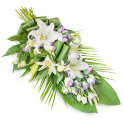 Displayed against a clean white background, this elegant teardrop-style spray stretches across the frame as if gently laid along the side of a casket or memorial table. At its heart bloom white oriental lilies, some fully open and star-shaped with smooth, satiny petals, others still held in tall buds that promise future blossoms. The open lilies reveal pale stamens that lend a hint of creamy yellow at the centre without disturbing the overall white purity. Threaded between are sprays of Lisianthus, their smaller, cup-like blooms soft and layered, their white petals finely edged in lavender or soft purple that looks almost brushed on by hand. Many Lisianthus buds remain tightly closed, lending a sense of quiet movement and depth, like thoughts unspoken. These flowers rise from a cushion of rich greenery: broad, dark leaves give structure and a feeling of steadiness, while several have been folded and rolled into sleek bands that bring a contemporary touch. Long, slender, bright green fronds radiate from the right-hand side, echoing the lines of grasses along the footpaths of Grove Park and emphasising the elongated silhouette. The colour scheme remains cool and composed-white, muted lavender, and varied greens-creating a mood of refinement and solace. The imagined scent is fresh and clean, with the lilies contributing a gentle perfume that would not overwhelm a small chapel or home gathering in Grove Park. This arrangement feels like a tender, thoughtful tribute, suitable for expressing sympathy when words are few, offering comfort through its serene beauty and careful craftsmanship.