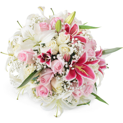 This image features a sumptuous, dome-shaped bouquet of lilies and roses photographed against a crisp white background, the kind of elegant arrangement often prepared for special occasions in Grove Park. Dominating the composition are pristine white lilies, their broad, trumpet-like petals opening with a sculptural grace that draws the eye inward to soft green centres and slender stamens. Between these statement blooms, clusters of pastel pink roses and warm cream roses are carefully tucked, some in tightly curled buds suggesting new beginnings, others in fuller blooms that reveal spiralling, velvety layers of petals. Interlaced among these gentle shades, several striking magenta Oriental lilies, reminiscent of classic Stargazer lilies, add flashes of rich colour; their deep pink petals carry darker freckles and frame bold yellow anthers that pop vividly against the surrounding whites and pinks. Threaded throughout are delicate sprays of white baby's breath, their myriad tiny blossoms filling the gaps and giving the arrangement a light, airy softness, like morning mist drifting over nearby Chiswick House gardens. Hints of bright green foliage, mainly slender lily leaves and subtle rose greenery, peek out at the edges, grounding the design in nature without distracting from the petals' delicate drama. The lighting is even and bright, heightening the sense of freshness and making every curve and texture easy to imagine under your fingertips. With its harmonious blend of colour and form, this bouquet feels ideal for thoughtful gestures: a Grove Park anniversary surprise, a romantic birthday delivery, or a stylish centrepiece for a small celebration at home.