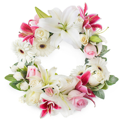 This image shows an exquisitely arranged circular wreath, a classic funeral tribute presented against a crisp white background so every bloom and leaf is clearly defined. The wreath forms an open ring of flowers, visually representing eternity and the ongoing bond of love, which feels especially poignant for families gathering in Grove Park to say goodbye. Dominating the design are large white lilies, their petals broad, velvety, and slightly recurved, revealing pale green throats and rich golden stamens that bring warmth to the composition. Deep magenta and fuchsia lilies are woven among them, the stronger colour and speckling on their petals creating a beautiful contrast and expressing more intense emotions of grief and gratitude. Between these statement blooms, clusters of soft pink roses appear in varying stages of openness, from tight buds to gently unfolding blossoms, their delicate petals embodying remembrance, admiration, and tenderness. Full, creamy white roses add volume and a sense of traditional elegance, reminiscent of classic church or crematorium arrangements often seen around Grove Park and nearby Chiswick. Scattered throughout the ring are crisp white gerbera daisies, each flower with a dark central disc and radiating petals that lend a fresh, contemporary touch. Smaller white accent flowers-likely spray carnations or little chrysanthemums-tuck into the gaps, giving the wreath a rich texture and a well-finished look. The entire arrangement is supported by a generous base of lush green foliage, leaves overlapping to frame the circle and add gentle movement. The overall effect is serene, dignified, and consoling, suitable for delivery to a service in Grove Park or to a family home as a thoughtful expression of sympathy.