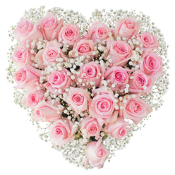 Imagine a tightly composed heart of blush roses, each blossom a soft whisper of pink, set against an immaculate white field so that colour and form stand in clear focus. The roses vary gently in tone from the palest petal tips to slightly deeper centres, a subtle ombré that draws the eye inward; some flowers remain as delicate, coiled buds while others open into gentle spirals revealing layers of velvety petals. Interspersed among them, the baby's breath-fine, white sprays of Gypsophila-acts like lacework, catching the light and giving the whole heart a buoyant, cloud-like texture that contrasts beautifully with the roses' rounded fullness. The photo's bright, even illumination accentuates the flowers' fresh sheen and the meticulous craftsmanship needed to form such a perfectly symmetrical heart. There is an implied coolness to the petals and a quiet fragrance that feels classic rather than overpowering, a scent that suits wedding vows as much as anniversary surprises or thoughtful condolence tributes. From a florist's perspective, the arrangement demonstrates restraint and care: nothing feels crowded or accidental, each stem placed to support the form and the emotion it conveys. Local residents in Grove Park often choose this style for intimate doorstep deliveries, for gifting after services at nearby churches, or to celebrate small, meaningful milestones along Baring Road and around Grove Park station. The overall impression is serene and heartfelt-an enduring emblem of love and tender regard.