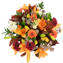 An intimate overhead view of a richly textured autumnal bouquet, presented in careful detail as if explained to someone with a soft morning light on their face. The arrangement is dominated by several large, fully opened orange Asiatic lilies-their trumpet-like petals curved and glossy-surrounded by numerous tight lily buds in fresh green and pale orange, adding depth and anticipation. Bright orange gerberas and deep burgundy-red gerberas form cheerful, contrasting suns throughout the mass, while clusters of creamy white lisianthus or mini roses lend softness and a layered, romantic texture. Spiky, star-shaped Astrantia in muted purple and lavender weave through the bouquet, bringing an airy, botanical intricacy against the denser blooms. Broad green leaves and slender stems create structure, while a few dramatic, reddish-brown oak-style leaves are artfully placed to echo the colours of fallen leaves on the paths around Grove Park Nature Reserve. The composition is compact, lush, and freshly gathered, photographed on a stark white background that makes each pigment pop and each petal edge crisp. The bouquet conveys warmth and quiet celebration-an ideal choice for autumn tables, harvest gatherings, or to send a friendly seasonal hello to neighbours along Baring Road or local streets near Grove Park station, available for local delivery and same-day freshness in the area.