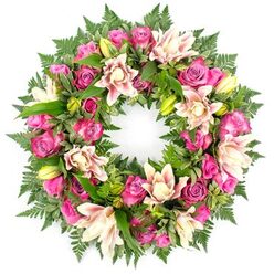 Presented on a pristine white background, this circular sympathy wreath appears serene and luminous, every component carefully positioned to create a feeling of calm balance. The wreath forms an unbroken ring of flowers and greenery, symbolising eternity and the ongoing bond between the departed and those who remember them. Roses in vibrant fuchsia and deep magenta mingle with softer blush pink blooms, their petals layered and velvety, some roses still shy in bud while others fully open, revealing intricate, ruffled hearts. Between these, generous double lilies unfurl in shades of creamy white, pale pink, and gentle peach, their multiple petals curling gracefully outward, some showing slightly darker accents along the edges. A few bright, lime-green buds offer a promise of future blossoms, bringing a quiet sense of hope into the composition. Surrounding and supporting the flowers is an abundance of rich greenery: delicate fern fronds fan out like soft feathers, framing the outer edge, while glossy, dark green leaves tuck in beneath the blossoms, adding depth, contrast, and structure to the circular form. The harmony of warm pinks and creams against the deep greens feels particularly suited to the tranquil corners of Grove Park, perhaps resting in a church or at a local crematorium not far from the river. One can imagine the wreath made fresh that morning, prepared with care by experienced hands and then delivered through the leafy streets of Grove Park. Its fragrance of roses and lilies, though unseen in the image, can almost be sensed, offering comfort and a gentle, dignified presence at a time of loss.