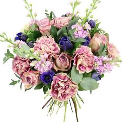 This image shows a lush, hand-tied bouquet captured against a bright white background, every bloom clearly defined as if lit by soft studio light. At its heart, generous garden roses in shades of blush pink, dusty mauve, and antique rose unfurl in full, rounded spirals, offering a sense of timeless romance. Between them nestle abundant carnations whose ruffled petals create waves of texture; each flower begins with a creamy beige and blush centre that gradually intensifies to deeper rose, fuchsia, or plum tones at the edges, giving the arrangement a layered, painterly feel. Striking accents of deep indigo and royal blue weave through the design: some appear as elegant, tulip-like buds, while one open anemone with a dark, almost black centre adds depth and drama near the lower front of the bouquet. Taller stems of lilac and pale lavender stock pierce upward, their closely packed blossoms creating a soft, vertical line that suggests a gentle, sweet fragrance mingled with the green scent of foliage. Surrounding these flowers is a generous collar of greenery: dark green rose leaves provide structure, while rounded, silvery eucalyptus leaves relax the outline and imply a cool, aromatic freshness. The stems at the base are clearly visible and neatly tied, indicating a freshly made bouquet ready for same-day delivery across Grove Park, from homes close to the river to streets leading up towards Chiswick and Gunnersbury. The overall impression is one of calm, polished elegance, ideal for marking a meaningful birthday, offering congratulations on a new home, or bringing a touch of refined colour into a Grove Park living room.