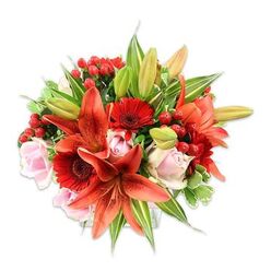 A vivid study in warm tones, this densely arranged bouquet sits strikingly against a bright white background, its composition deliberately full and rounded to showcase seasonal freshness. Dominating the view are several large orange-red Asiatic lilies, their petals showing delicate speckling and graceful curves that reveal dark-tipped stamens; some lilies are in tight, promising buds while others unfurl fully, creating a sense of unfolding motion. Interwoven with these are rich crimson Gerbera daisies - their numerous slender petals radiate from dusky centres, introducing a bold, textured rhythm across the arrangement. Soft blush pink roses are threaded throughout, in varying stages of bloom, their smooth, layered petals offering a romantic softness that calms the more theatrical lilies and gerberas. Bright hypericum berries, clustered in glossy red buttons, punctuate the arrangement with jewel-like accents and playful bumps that contrast the petals' smoothness. The greenery is abundant: elongated lily leaves, broad solid greens and a few variegated sprigs with subtle cream streaks provide a verdant backdrop and structural support. The bouquet's tactile variety - waxy berries, satiny roses, papery lily petals, and crisp foliage - suggests a scent that is sweet, faintly spicy and fresh-cut. As a carefully balanced design, it feels perfect for celebrating heartfelt occasions across Grove Park and neighbouring Elmstead Woods, and carries the quiet confidence of a local floral maker who knows how to combine colour, texture and silhouette for maximum emotional effect.