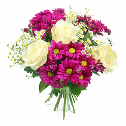 The photograph captures a round, generous bouquet set against a spotless white background, making its fresh colours and careful craftsmanship impossible to miss. Dominating the arrangement are several fully opened roses in a soft cream that shades into pale buttery yellow, their petals thick, smooth, and gently curled, creating a timeless, romantic focal point. Interwoven with the roses are clusters of fuchsia and magenta chrysanthemums, commonly known as mums, whose daisy-like heads are full and slightly textured, each surrounding a bright yellow-green centre that glows at the heart of the bloom. Sprinkled throughout the bouquet are light, airy stems of tiny white daisy flowers resembling chamomile, with petite white petals and clear golden centres that soften the strong colours and add a touch of wildflower charm. Glossy dark green leaves and the more feathery foliage of the filler flowers provide a rich, natural backdrop, allowing the creams and pinks to stand out clearly. The stems below are straight and neatly aligned, bound together with a green and white checked ribbon tied firmly around the base, suggesting a skilled florist's hand and a bouquet ready to be carried out the door of Grove Park Florist. The lighting is bright and even, enhancing every detail without harsh contrast, so the composition looks fresh, crisp, and inviting. The mood of the arrangement is upbeat and affectionate, ideal for sending a thoughtful message-whether to cheer someone in a flat near Grove Park station, to brighten a family home close to Chiswick Bridge, or to add a burst of colour to a riverside gathering along the Thames.