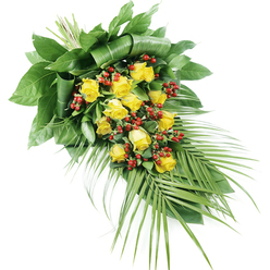 This image presents a beautifully balanced sympathy spray, captured against a clean white background that highlights every detail, as if ready to be delivered to a family home near Grove Park station. The arrangement is elongated and slightly diagonal, with the stems tied neatly at the top left and the greenery cascading down towards the lower right. At the centre of the composition, a cluster of approximately fifteen to twenty yellow roses forms a radiant focal point. The roses are shown in various stages of bloom, from tight, promising buds to more open flowers whose petals curl gently back, revealing soft spirals in a rich, golden yellow. Interlaced among the roses are numerous groups of small, round, bright red berries-likely Hypericum-that add both depth and a striking colour contrast. These berries catch the light with a subtle shine, standing out against the velvety, matte finish of the petals. Embracing the flowers is a generous selection of greenery. Large, deep green leaves create a dense, supportive backing at the top left, some folded and tucked to create a professionally sculpted effect. From the opposite end, long, narrow palm fronds extend outward and downward, their fine leaflets forming a gentle arc that lends the piece movement and grace. The overall visual impression is one of quiet strength and comfort: the warm yellow roses offering a sense of hope, the red berries adding depth and richness, and the foliage grounding the design. It is a classic tribute spray, ideal for a Grove Park funeral, cremation service, or to rest beside a memorial bench, conveying care and heartfelt remembrance without the need for many words.
