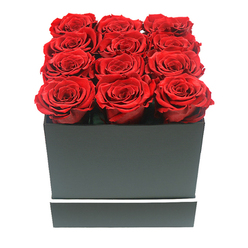 In this elegant, close-up shot, a luxurious rose arrangement seems to hover against a seamless white background, as though freshly photographed in a Grove Park florist's calm studio near the curve of the Thames. The focal point is a compact, square box crafted from matte black card, its surfaces smooth and free of embellishment apart from a narrow white band that circles the lower edge like a minimal ribbon. Rising from the open top of the box are twelve beautifully formed red roses, aligned in three precise rows of four. Each bloom is at the same immaculate stage of full opening, with densely layered petals creating soft spirals that draw the eye inward. The crimson colour is rich and saturated, suggesting preserved or long-lasting roses chosen for their enduring vibrancy. The flowers are packed so closely that their velvety petals nearly touch, creating a lush, almost quilted effect across the top of the box, with the blooms just slightly elevated above the rim. The lighting is soft and diffuse, caressing the gently curved petals and creating delicate shadows that add depth without disrupting the arrangement's calm symmetry. Against the stark white background, the contrast between the inky black box and the intense red roses becomes especially striking, giving the image a distinctly modern feel. The overall impression is one of quiet sophistication and heartfelt emotion, the kind of design a Grove Park resident might send for a significant birthday, a meaningful apology, or a private celebration at home near Grove Park Road. It speaks of devotion without excess, a refined floral gesture that marries contemporary style with classic romantic symbolism.