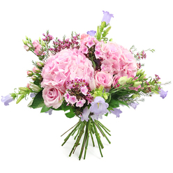 A full, rounded bouquet brimming with soft pinks, cool lavenders, and lush greens is pictured against a clean white background, the kind of elegant arrangement you might have delivered to a townhouse near Grove Park's tree-lined streets. The design is anchored by two large domes of pink hydrangea, each head formed from countless tiny petals that overlap like layers of silk, creating a pillowy, cloud-like presence at the centre. Between these hydrangeas, pale pink roses appear in different stages of bloom: some fully open, revealing their intricate spiral hearts and velvety texture, others still in neat, rounded buds that hint at blossoms just about to unfurl. Rising gracefully through the bouquet are thin stems of bell-shaped flowers in soft lavender and muted purple, likely campanula or related bellflowers, their little cups nodding gently and adding height and a sense of whimsical movement. Deeper accents of colour come from small clusters of fuchsia and deep pink filler blossoms, reminiscent of waxflower or phlox, scattered through the arrangement to provide contrast and rhythm, as if echoing the vibrant borders in gardens along Burlington Lane. Fresh greenery weaves throughout, from broader leaves that cradle the larger blooms to finer, more delicate foliage that adds airiness and a natural, garden-picked feel. A few slim buds and unopened stems peek out, reinforcing the bouquet's sense of life and longevity. At the bottom, the stems are gathered and neatly tied, typical of a hand-tied bouquet from a skilled local florist, ready to be placed in water. The overall atmosphere is romantic, tender, and quietly celebratory, perfect for marking an anniversary, welcoming a new baby, or simply brightening a home in Grove Park with a soft, elegant splash of colour.