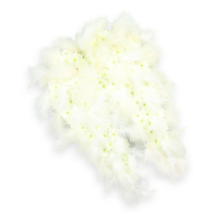 Centered on a crisp, uncluttered white background, this angel-wing floral arrangement radiates calm and gentle reverence. Two delicate wings, symmetrical yet softly curved, are entirely fashioned from clusters of small white blossoms placed so close together that they form a continuous, plush surface. The flowers, reminiscent of tight-headed chrysanthemums or spray carnations, feature subtly tinted centers in pale green and lemon cream, hints of natural colour that keep the design from feeling stark while maintaining its overall purity. Along the outer edge, from the top arch of each wing down to the slender tip, a thick trail of soft, snowy white feathers has been carefully layered. These feathers are light and fluffy, with fine, down-like strands that blur the boundary between the arrangement and the background, creating a sense of weightless grace. Under soft, even lighting, every petal and feather is clearly defined, and a faint, diffused shadow beneath the wings suggests they are gently resting on a flat surface, perhaps on a stand in a Grove Park chapel or a quiet room of remembrance near the river. The shape of the wings, slightly cupped inward, feels almost like open arms, symbolising comfort, protection, and a loving farewell. The image carries no distractions-no bold colour, no additional decor-only this thoughtful tribute, making it an especially poignant choice for a funeral or memorial in the Grove Park area. It speaks in a quiet voice of peace, spiritual uplift, and the enduring bond between the departed and those who remain.