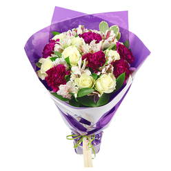 This hand-tied bouquet is captured in vivid detail against a white background, the flowers and wrapping standing out as if lit by soft studio light. Cream-white roses form the graceful focal point, their petals tightly layered at the centre and gently unfurling at the edges, suggesting timeless elegance and a soft, powdery scent. Surrounding them are rich magenta carnations, their frilled petals packed densely into rounded blooms that provide both texture and depth, the fuchsia tones adding warmth and vibrancy. White alstroemeria, or Peruvian lilies, weave delicately among the larger flowers, each slender petal decorated with fine pinkish-red streaks and tiny speckles that draw the eye to the dark stamens at the centre. Fresh green foliage is scattered generously throughout the bouquet, with glossy leaves and occasional variegated edges bringing an easy, natural fullness that recalls the leafy streets and gardens around Grove Park station. The flowers are arranged into a rounded, full crown at the top that narrows as the stems descend, revealing the careful, hand-tied structure beneath. The stems are dressed in an inner layer of crisp white floral paper that hugs the blooms and creates a clean backdrop, then swathed in an outer layer of translucent, crinkled purple cellophane that lends a subtle shimmer and depth. At the gathered base, a bright green satin ribbon is neatly tied into a small, iridescent bow, from which hangs a slim, light brown rectangular tag ready for a personalised message. The overall impression is one of joyful sophistication, perfect for birthdays, anniversaries, or simply sending a heartfelt thank-you to someone in Grove Park with a fresh, same-day flower delivery.