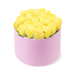 A chic, pastel pink hatbox brimming with yellow roses is photographed in a minimalist style, its beauty heightened by a clean white background that removes all distraction. The cylindrical box has a matte, blush finish, suggesting the soft touch of fine fabric, like suede or velvet, and it stands upright with simple, elegant lines that frame the flowers above. Inside, roughly two dozen yellow roses are arranged in a dense, rounded dome that slightly overflows the rim, giving the impression of abundance and careful craftsmanship. Each rose is fresh and full, with velvety petals unfurling in tight, symmetrical spirals that transition from creamy golden centres to brighter citrus-yellow edges. Tiny glimpses of green foliage can be seen here and there between the roses, just enough to hint at their natural stems without breaking the smooth, luxuriant effect. Gentle, even lighting bathes the arrangement, making every curve, fold, and colour variation clearly visible, like a display piece set on a polished counter in a Grove Park Florist studio close to the Thames. The combination of cheerful yellow roses and the soft pink hatbox creates a mood that feels both joyful and tender-ideal for celebrating a birthday, marking a new beginning, or sending a heartfelt "thinking of you" message to someone in Grove Park, Chiswick, or nearby leafy streets. The overall impression is of modern floral design with a romantic twist, a centrepiece that could easily brighten a living room overlooking the river or a cosy kitchen table after a same-day flower delivery.