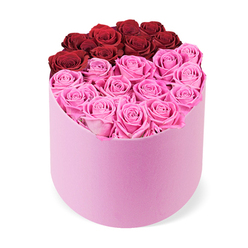 From Grove Park Florist, this modern romance arrangement speaks with the confidence of a well-loved local. The two-tone body of roses is anchored by a soft pastel-pink cylindrical box, whose velvet-like surface invites a tactile response. At the crown of the design, about twelve deep red roses arc in a rich, almost kiss-like line, creating a bold focal point that celebrates passion. Below, a generous field of bright fuchsia pink roses fills the lower half, offering a cheerful counterpoint that is playful yet refined. The roses themselves appear creamy and lush, their petals curling inward in tight spirals as if cradled by careful hands. The stems are arranged with precision, leaving space for each bloom to breathe while forming an even, quiet abundance. The overall effect is uplifting, symmetrical, and ready to mark a moment-be that a birthday, an engagement, or a gesture of lasting devotion.

Careful sourcing and longevity are part of the promise, so this box arrives fresh and vibrant for days of display. Available for same-day delivery across Grove Park and neighbouring SE London communities, it makes a thoughtful, high-end gift for a celebration or a romantic surprise. In short, a contemporary rose box that feels intimate, artisanal, and made to be kept and treasured.