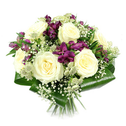 Set against a clean white studio backdrop, this elegant bouquet presents a harmonious blend of creamy whites, deep purples, and fresh greens, arranged in a rounded, tightly composed shape. Dominating the centre are several large creamy white roses, their petals unfurling in soft spirals that convey a sense of purity and quiet luxury, as if chosen for a heartfelt visit to a home near Grove Park station or along Burlington Lane. Nestled among the roses are rich purple and magenta alstroemeria blooms, their trumpet-shaped flowers edged with subtle streaks, adding both colour intensity and a touch of playful sophistication. Some of these Peruvian lilies are fully open, their inner markings visible, while others remain as closed buds, suggesting an arrangement that will continue to evolve after it reaches its destination in Grove Park or neighbouring Chiswick. Threaded through the bouquet, fine sprays of white baby's breath form a delicate mist, their tiny, round blossoms softening the sharper lines and filling in spaces with an airy, cloud-like texture. Small, greenish-white astrantia blooms pop up at intervals, their star-shaped bracts and clustered centres introducing an intricate detail reminiscent of wildflower meadows. Encircling the base, broad, glossy aspidistra leaves are neatly folded and wrapped to create a dark green collar that frames and supports the flowers, providing a strong visual contrast and a polished finish. The stems are trimmed and gathered neatly beneath, just visible against the white background. Overall, this bouquet carries a serene, refined character, perfect for anniversaries, thank-you gestures, or quiet condolences delivered by a local Grove Park florist.