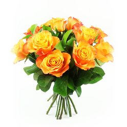 This image features a lush hand-tied bouquet of approximately twelve bi-colour roses, perfectly framed against a clean white background that makes every petal and leaf stand out with clarity. The roses are arranged in a rounded, almost dome-like formation, with each bloom fully open and turned towards the viewer, as if smiling. At the centre of each flower, a bright, sunshine yellow slowly melts into deeper tones of amber, apricot, and vivid orange as the petals extend outward. Some of the outer petals carry a subtle red-orange tint, reminiscent of the warm glow over the river by Grove Park at sunset. The petals have a soft, velvety texture, their edges gently ruffled and overlapping so densely that the bouquet seems full and generous from every angle. Threaded between the flowers are rich, deep green leaves that offer a cool contrast, their smooth surfaces catching the light just enough to add dimension without distracting from the roses. Below the blooms, a tidy cluster of dark green stems is visible, trimmed evenly, suggesting the bouquet has just been crafted on a florist's bench near Grove Park station, ready for local delivery. The lighting is soft and even, with no harsh shadows, so the natural gradients of colour can be appreciated in detail. The overall feeling is one of warmth, optimism, and understated elegance, making this arrangement fitting for congratulating a neighbour in Chiswick, brightening a home in Strand on the Green, or sending a heartfelt "thinking of you" to someone special in the Grove Park area.