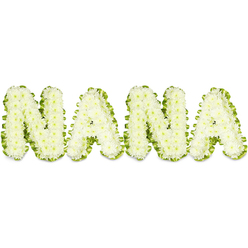 The name NANA is rendered here in soft, sculpted white made up of countless small chrysanthemum blooms, each petal forming a patchwork of delicate texture that collectively reads as plush, cloudlike lettering against a stark white ground. Each capital letter is densely packed with pristine button chrysanthemums, their tiny rounded heads contributing to a smooth yet richly tactile surface that suggests care and reverence. A pleated ribbon of vibrant green foliage nests each character, its crisp verdant edge framing the white blooms and giving each letter a distinct silhouette that reads clearly from across a chapel or funeral parlour. Warm, even lighting bathes the arrangement, highlighting the freshness of the flowers, the subtle shadows between florets, and the three-dimensional depth that speaks to careful hand-crafting by an experienced florist. The overall tone is calm and consoling - a sympathetic, respectful piece intended for memorial services, visitations, or a graveside farewell. Sensory details linger: the faint, comforting herbaceous scent of chrysanthemums, the cool, matte green of the foliage trim beneath fingertips, and the quiet dignity of white balanced by life-affirming green. In Grove Park and neighbouring streets such sympathetic lettering is often chosen to honour a cherished grandmother, carrying family sentiment and gentle remembrance into the service, and offering a visual focus that speaks of love, gratitude, and remembrance without theatricality.