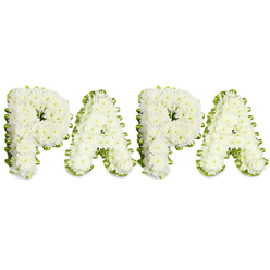 A carefully composed memorial piece spells PAPA in bold white letters, each character formed from compact clusters of small white chrysanthemums that create a soft, voluminous texture. The petals are slightly ruffled and layered, giving each letter a gentle domed profile that catches diffused light and suggests warmth despite the arrangement's solemn purpose. Around each letter a folded, lime-green ribbon and sprigs of pale foliage curve in a subtle, undulating border, the crisp green line sharpening the silhouette and introducing a fresh, natural contrast to the pure whites. Set against a clean white ground, the typography reads with clarity and quiet dignity, designed to be seen both close up and across a chapel or wake. The scent is muted and reassuring - a light vegetal sweetness characteristic of fresh chrysanthemums - and the overall effect is one of careful restraint and deep affection. This kind of personalized lettering is often selected for funerals or remembrance services to honour a father figure, the intimate name PAPA speaking to family bonds and cherished memories. As a local florist familiar with Grove Park and the surrounding community, I imagine this piece placed on a stand near Grove Park station or alongside floral tributes at a small chapel, offering a visual focal point that communicates love, respect, and the simple wish for peace.