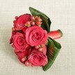 An intimate hand-tied bouquet of deep red roses and berries rests on a soft, light beige textured fabric, the kind of neutral background that lets every petal and leaf claim its own moment. Around six velvety roses, in rich shades of crimson and scarlet, are clustered tightly together, their petals curled inward at the centre and opening in generous layers toward the edges, suggesting perfect peak bloom. Between the roses, small rounded Hypericum berries in tones of reddish-pink to muted red peek through on slender green stems, adding playful dots of colour and a subtly festive feel. Broad, dark green tropical leaves wrap and curl elegantly around the base of the bouquet, their smooth, slightly glossy surfaces creating a deep frame that makes the red tones appear even more intense. A neatly tied red satin ribbon secures the stems, its sheen echoing the lushness of the petals and giving the arrangement a polished, romantic finish. The lighting is gentle and even, as if the bouquet were set down in a quiet sitting room in Grove Park, perhaps near a window looking toward the leafy streets, allowing each texture-from the fabric beneath to the berries and foliage-to be clearly defined without harsh shadows. The overall impression is one of refined romance and thoughtful craftsmanship, an arrangement that could be carried down the aisle, presented as an anniversary surprise, or placed as a low, elegant centerpiece for a dinner at home in SE12, capturing a moment of quiet celebration and local florist artistry.