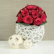 The image features a lush, compact bouquet of red roses arranged in a perfect dome, their velvety petals layered closely together to create a sense of fullness and depth. Each rose varies slightly in its stage of bloom, from shy, tightly furled buds to more open flowers that show off their intricate inner spirals, all united by a deep, romantic crimson that suggests passion and celebration. Tucked between the rose heads are small clusters of smooth, bright red berries, reminiscent of hypericum, which bring a subtle sparkle and playful movement to the design. A neat collar of dark, glossy green leaves encircles the base, providing a cool, natural contrast that anchors the composition and hints at the freshness you might associate with a morning walk through the leafy streets of Grove Park or along the riverside. The bouquet is supported by a distinctive white vase, assembled from numerous slender, branch-like strands woven into an open, airy lattice that feels as much like a modern sculpture as a practical container. On the clean white tabletop in front, two decorative cream-coloured spheres made from flat wooden ribbons extend the theme of intricate weaving, their hollow geometric forms catching soft shadows. One sphere is larger and closer, the other smaller and tucked just behind, creating an easy sense of balance and depth. Behind it all, a warm beige background with a fine, linen-like texture gently diffuses the light and sets off the arrangement without distraction. The overall mood is intimate and elegant, the perfect floral accent for a Grove Park wedding reception, a romantic dinner near Chiswick, or a same-day delivery to a loved one across the local neighbourhood.