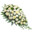 A large, elegant white funeral spray is displayed on a pure white background, its elongated teardrop outline flowing diagonally from a full, rounded head at the upper left to a refined, tapering tip at the lower right. The upper portion is richly adorned with white and soft cream roses, each bloom carefully placed so that tightly furled buds sit beside half-open blossoms and fully opened roses, creating a natural progression of shape and size. The petals appear velvety and gently spiralled, catching the soft light in a way that makes them seem almost luminous. Between these roses, clusters of white carnations are woven in, their frilled edges and layered ruffles adding a subtle, tactile interest that gives the spray a lush but not overwhelming fullness. Beneath and around the flowers, a thoughtful selection of greenery grounds the design: darker green leaves provide a structured underlayer, while cool, silvery eucalyptus leaves are tucked throughout, their muted tones introducing a soothing, contemporary touch. From the lower right end, slender ruscus stems and other fine-textured foliage trail out and down, visually extending the arrangement and reinforcing the calming sense of gentle movement. The entire piece is lit evenly, without harsh shadows, underscoring the serenity of its white and green palette. This is the kind of refined tribute that might be chosen for a service in Grove Park or nearby Chiswick, perhaps resting beside a photograph of the loved one or at the front of a modest chapel. It conveys sympathy, purity, and quiet strength, offering a comforting visual focus for family and friends as they gather to remember and reflect.
