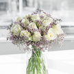 This image shows a gentle, thoughtfully balanced bouquet of creamy white roses and airy purple statice, gathered into a clear, cylindrical glass vase that rests on a spotless white surface. The bouquet is full yet unobtrusive, forming a softly rounded shape where each bloom seems to find its own space while contributing to the whole. The roses are pristine and elegant, their petals coiled into neat spirals at the centre and unfolding in smooth layers of ivory and cream; in some blossoms, the outermost petals bear the slightest hint of pale green, a natural touch that underscores the flowers' freshness. Interwoven through the roses, slender stems of statice introduce a veil of lavender and soft violet, their miniature clustered flowers giving the impression of a fine, misty halo encircling the arrangement. This interplay between the larger, velvety rose petals and the delicate, papery texture of the statice creates a sense of quiet movement and depth. The transparent vase offers a clear view of the green stems below the waterline, their straight lines and varying thicknesses adding a subtle structural rhythm to the composition. Light streams in from one side, likely from a nearby window in a Grove Park home or a calm corner of Grove Park Florist, creating gentle highlights along the petals and rim of the glass while casting faint, soft-edged shadows across the white table. The background is deliberately out of focus, rendered in pale greys and whites that give no specific detail, allowing the viewer to feel only brightness and space. The overall mood is one of reverent calm and sympathy, perfectly suited for moments of reflection or condolence-a bouquet that seems to hold a quiet vigil, offering beauty and solace without the need for words.
