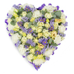 A densely packed, heart-shaped sympathy tribute captured against a pristine white studio background, the image emphasizing careful craftsmanship and a serene palette of creams, pale yellows and soft lavenders. The core of the heart is a plush field of tightly furled cream and buttery pale-yellow roses, some with faint hints of light green at their bases, giving a tactile depth like folds of silk. Interwoven among them are ruffled white carnations that add a comforting, cloud-like volume; their frilled petals catch the soft, even lighting and create gentle shadowing across the surface. Scattered through the composition are sprays of delicate lavender statice whose tiny clustered blossoms introduce an airy texture, while small purple aster-like flowers with bright yellow centres punctuate the design with vivid jewel-toned contrast. Rounded, blue-green eucalyptus leaves are placed at intervals, their silvery sheen and smooth, coin-shaped forms breaking up the floral density and suggesting a cool, subtle scent when handled. The entire heart is neatly edged with a looped, rich purple satin ribbon that forms a refined border and helps the silhouette read clearly against white. The overall effect is peaceful and dignified, a design meant to express steady affection and solemn remembrance. This arrangement reads as a traditional funeral or graveside tribute, composed with restraint and attention to texture, colour balance and calming fragrance - a visual embrace intended to comfort mourners and honour a loved one with quiet grace.
