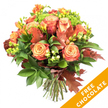 A hand-tied autumn bouquet photographed against a crisp white background, the kind of arrangement that feels like a warm shawl on a chilly Grove Park evening. The composition is dominated by large, fully opened roses showing a painterly gradient from soft peach and apricot at their centers to deeper coral and russet on the outer petals; each rose unfurls with velvety texture and a slight satiny sheen under soft studio light. Sprays of bright orange and golden-yellow freesia scatter through the roses, their slender stems and dainty, trumpet-like blooms lending an airy elegance and a hint of honeyed scent. Rich, dark green foliage - glossy broad leaves and finer chartreuse sprigs - creates a dense, verdant cradle that makes the warm tones glow. Interwoven are burnished, lobed oak leaves in deep reddish-brown that immediately read as autumn, and clusters of lime-green hypericum berries that punctuate the palette with cheerful contrast and a tactile, waxy finish. Small tight pom-pom florets of bright green Santini chrysanthemums fill gaps and lift the bouquet's shape, adding a crisp, fresh note to the warm composition. The stems are neatly trimmed and gathered at the base, tied with natural jute for a rustic flourish, clearly ready for a vase or an autumn table. A bright diagonal orange banner overlays the lower right corner of the photo, stamped in white capitals with the words FREE CHOCOLATE, signalling a seasonal offer without hiding the arrangement. This bouquet evokes Thanksgiving tables, cosy birthdays, or a thoughtful gift to bring Grove Park warmth indoors, smelling faintly of cut stems, earth, and late-season spice.