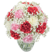 Crafted with care for the community of Grove Park, this bouquet blends tradition and heartfelt emotion in every detail. Ruffled carnations in deep red, romantic blush pink, and creamy white fill the arrangement, each petal delicately unfurling to catch and reflect light in the softest shadings. Airy clusters of baby's breath encircle the bold carnations, providing a veil of ethereal white that moves gently as though stirred by a river breeze. The structured, globe-like shape lends the bouquet a sense of cohesion and completeness, perfect for celebrations or simply brightening a breakfast nook on Hartington Road. Housed in a transparent glass vase, the bouquet's vibrant green stems twist elegantly in clear water, a quiet reminder of freshness and new beginnings. The composition sits against a bright white background, with clean, even lighting capturing the interplay of colour and form. The mood is uplifting and tender-ideal for a thoughtful birthday surprise, offering appreciation, or elevating an everyday moment with a touch of Grove Park's distinctive charm. Each bloom speaks of hope and gentle optimism, making this arrangement as timeless as the community it serves.
