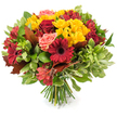 A hand-tied autumn bouquet captured against a crisp white backdrop, rich with warm, harvest colours and layered textures that invite both sight and memory. The arrangement reads as a rounded, densely packed cluster of fresh stems: deep crimson and burgundy gerbera daisies with their broad, theatrical petals and dark centres sit alongside small, intensely red roses whose tightly furled buds and gently unfurling blooms offer a velvet softness. Bright yellow spray chrysanthemums scatter like sunlit sparks through the composition, their many tiny petals creating playful texture against the deeper tones. Coral-pink roses and soft peach garden-style blossoms breathe a gentle, tender note into the middle registers, while slender red-and-orange alstroemeria add star-like, striped accents that catch the eye and guide it through each layer. A rich assortment of foliage-glossy, deep green leaves, lighter variegated greenery, and feathery filler-frames and cushions the blooms, while several large, reddish-brown and bronze-toned lobed leaves, reminiscent of oak or maple, are carefully tucked in to emphasise the seasonal, rustic character. The stems are neatly gathered and visible at the base, a fresh bundle of green stalks that confirms a classic hand-tied technique and the touch of a skilled florist. Lit by soft natural light, the petals seem to glow and the bouquet feels both celebratory and comforting-ideal as a Thanksgiving centrepiece, a fall dining table accent, or a thoughtful seasonal gift. As a floral composition, it balances bold focal blooms with delicate quieter notes, delivering warmth and an unmistakable sense of autumnal shelter.