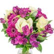 A lush, round bouquet photographed against a pure white background, composed to feel both joyful and refined. At the very front, three to five deep magenta Gerbera daisies command attention with their flat, radiating petals and slightly darker central discs that give each bloom a bold, cheerful face. Interwoven among the gerberas are soft, creamy-white Lisianthus (Eustoma) with ruffled, bell-shaped petals that lend a gentle, romantic softness and a whisper of fragrance when held close. Clusters of purple and fuchsia Alstroemeria, the Peruvian lilies, thread through the composition; their trumpet-like petals carry delicate speckles and subtle streaking, adding a sense of depth and intricate patterning. The arrangement is densely packed and expertly rounded, the blooms sitting close together so the contrasting textures - the clean, almost satiny roses of the Lisianthus, the flat, graphic gerbera petals, and the delicate flutter of the Alstroemeria - play off one another. Lush, dark green foliage frames every blossom, from broad glossy leaves to narrower, sword-like greens that create a lively interplay of light and shadow across the bouquet. A hint of a clear glass vase is visible at the bottom, grounding the display and catching a sliver of reflected light. The overall impression is fresh, modern and uplifting - a bouquet that reads as a bright, spring-like breath and is equally suited to a Mother's Day surprise, a birthday, or simply bringing warmth to a living room in Grove Park or nearby Lee. The careful craftsmanship and vivid colour palette make this arrangement an inviting and accessible expression of celebration and thoughtful giving.