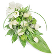 Soft, elongated teardrop spray of white and green blooms photographed against a clean white backdrop, arranged with the steady hand of a neighbourhood florist familiar with Grove Park's quiet streets. The composition is grounded in creamy white roses-some unfurling in full bloom with velvety, spiralled petals, others kept as tighter buds-paired with sculptural, trumpet-shaped white calla lilies whose smooth curves give the piece a modern, architectural calm. Bright lime-green, button-like chrysanthemums punctuate the design with a cheery, textured pop that contrasts the satin petals of the roses. Wisps of tiny white baby's breath drift between blossoms like pale breath, adding an airy softness that lightens the overall weight. A rich tapestry of foliage builds the foundation: deep glossy leaves create a dense, reflective base, variegated leaves with crisp white stripes add subtle pattern and depth, and feathery fern fronds lift the top with woodland freshness. Two long, arching blades of vibrant green foliage sweep across the spray, introducing graceful movement as the arrangement tapers down to a broad, smooth tropical leaf that forms the pointed tail. A tasteful creamy fabric bow rests at the upper left, its matte texture softening the composition and underscoring the design's respectful tone. In soft morning light the bouquet suggests a faint green-herb scent beneath the gentle floral perfume of roses and calla; it reads as a tranquil, dignified sympathy tribute-ideal for funeral or memorial settings around Grove Park, Elmstead Woods and nearby Lee, conveying quiet respect and remembrance with understated garden-fresh elegance.