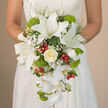 The image focuses on a bride from the shoulders down, her off-white lace wedding dress forming a soft, textured canvas for an opulent cascading bouquet gathered in her hands. The bouquet flows in a graceful teardrop, beginning high at her waist with generous white oriental lilies whose broad, satin-smooth petals curl open to reveal speckled throats in muted tones of reddish-brown and gently dusted stamens. Just below the lilies, a single creamy ivory rose blooms at the centre, its tightly layered petals creating a romantic swirl, wrapped in a halo of tiny white baby's breath that looks like a mist of stars. From this central cluster, white Phalaenopsis orchids tumble downward, their slender stems and arching blooms forming a soft waterfall that elongates the silhouette of the bouquet. Nestled throughout are rounded, lime-green tufts of Green Trick dianthus, their fuzzy, cushion-like texture bringing a modern, almost whimsical touch. Bright red hypericum berries, polished and jewel-like, punctuate the white and green palette, lending small sparks of colour and an uplifting energy. Fine strands of airy greenery and darker, glossier leaves frame the flowers, adding structure and depth without disturbing the bouquet's romantic fluidity. The arrangement feels timeless yet fresh, as if it's been created that morning in a Grove Park Florist studio just off the High Road, ready to be delivered to a ceremony in one of the nearby churches or garden venues, where its soft fragrance of lilies and roses will quietly accompany vows and photographs in the afternoon light.