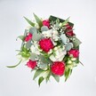 From a bird's-eye view, a lush, rounded bouquet fills the frame against a bright white background, every colour and texture sharply defined. At its heart, large hot pink carnations unfurl in intricate ruffles, their many layers creating a plush, almost velvety mound of petals. Nestled between them are deep pink and fuchsia roses, some fully open in classic spirals, others still in tight buds promising to bloom, adding a gentle sense of movement and anticipation. Clusters of tiny white spray chrysanthemums and other daisy-like blossoms create soft, clouded patches of brightness, while fine sprays of white gypsophila weave delicately through the arrangement like a light mist. Slender white buds, reminiscent of alstroemeria or lily blooms, punctuate the design with a touch of quiet elegance. Encircling all of this colour is a generous foundation of greenery: rounded, silvery-green eucalyptus leaves with their cool, matte finish; long, bright green blades that add a fresh, lively accent; and darker, broader leaves, likely folded aspidistra, forming a neat, structured collar around the base. Gentle, even lighting makes each petal and leaf appear crisp and true to tone, evoking the feeling of a freshly arranged bouquet laid out on a workbench in a Grove Park florist's studio. The overall impression is joyful yet refined, like a floral hug suited to birthdays, congratulations, or simply lifting a loved one's spirits somewhere along the tree-lined streets around Grove Park station.