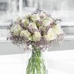 A serene white and lavender bouquet stands in a simple clear glass cylinder vase, its beauty captured in soft, natural daylight as if placed near a bright window in a Grove Park townhouse. At the centre, creamy white roses open in perfect spirals, each bloom layered with velvety petals that appear almost luminous, their subtle ivory tones gently shifting toward a warmer cream at the heart. Threaded between and around the roses, airy branches of pale lilac limonium - often called sea lavender - create a delicate, mist-like halo, their tiny clustered blossoms forming a fine, cloud-soft texture that contrasts gracefully with the roses' smooth fullness. The stems, visible through the transparent vase, are cleanly cut and arranged with care, their fresh green lines crossing lightly in the water and adding a hint of cool, natural colour. Light glances off the surface of the vase, reflecting glimmers of the room and giving the whole composition a quiet, reflective shimmer. The overall mood is calm and contemplative, like an early spring walk along Grove Park's leafy residential streets, when the air still feels crisp but hopeful. One can almost imagine the gentle fragrance: the classic, slightly sweet scent of white roses mingled with the faint, herbal dryness of the limonium. This bouquet feels ideal for offering condolences, bringing a moment of peace to a Chiswick or Grove Park home, or marking a thoughtful new beginning. Designed with understated elegance and a modern, uncluttered style, it speaks in a low, reassuring voice of comfort, sincerity, and enduring grace.