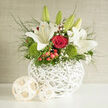 The bouquet in this image captures the essence of a refined Grove Park celebration, the kind of arrangement you might find on a neatly dressed table overlooking the Thames. At its base sits a sculptural white basket, woven into a gentle orb that holds the flowers securely while letting them breathe and flow. From this base, white lilies rise in graceful arcs, their smooth buds promising future bloom and their open flowers spreading like luminous stars, suggesting a soft, refined fragrance that would quietly fill a room. Weaving through the lilies, rich red roses offer depth and warmth, each layered petal curving inwards like a secret shared between two people on their wedding day. Around these central blooms, bright green dianthus creates mounded cushions with a slightly tousled, moss-like texture, bringing the freshness of a riverside walk from Grove Park down to Chiswick into the design. Wispy clusters of gypsophila drift through the bouquet, giving a light, airy touch that mirrors the lace of a bridal veil, while glistening red hypericum berries add playful punctuation and subtle sparkle. Long, slender leaves and delicate stems of greenery stretch outward and gently cascade over the rim, enhancing the sense that these flowers were arranged with care rather than strict formality. Illuminated by natural light, which skims across the white petals and deep red tones, the arrangement feels both peaceful and quietly celebratory. It would be at home gracing a registrar's table, welcoming guests at a Grove Park reception, or arriving as a thoughtful delivery to congratulate a newly married couple or honour an important anniversary.