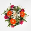 This exuberant Grove Park bouquet is a vibrant interplay of colour, shape, and softness, composed for joyful occasions or as a thoughtful gesture along the riverside or local streets. The arrangement's focal point is a trio of brilliant orange gerbera daisies, their petals emanating warmth and energy, drawing immediate attention. Luxurious fuchsia and magenta roses weave through the design, some blossoms plushly open, others still tenderly furled. Creamy white alstroemerias add an elegant lightness with their pale, gently freckled petals, and clusters of petite, snowy spray chrysanthemums provide an airy, almost lace-like texture. At the centre rests a single, blush-peach rose, imparting a sense of calm and subtle sophistication. The ensemble is bordered by generous, dark-toned greenery, evoking the lush parks and gardens that define Grove Park's character. Composed in a gentle, rounded pattern and lit to emphasise every nuance of colour and shape, this bouquet feels nurturing and celebratory-a perfect fit for birthdays, commemorations, or simply to enliven a Grove Park residence with its fresh beauty and heartfelt presence.